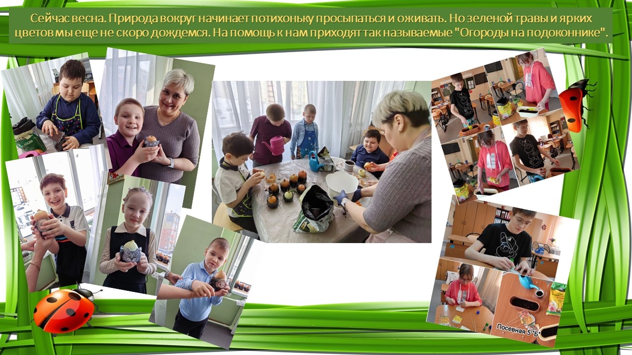 огороды на подоконнике.